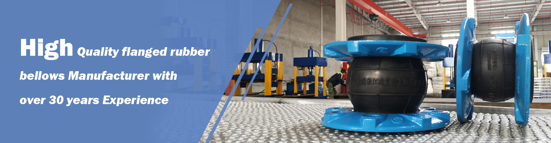 Expansion joint related welding neck flange